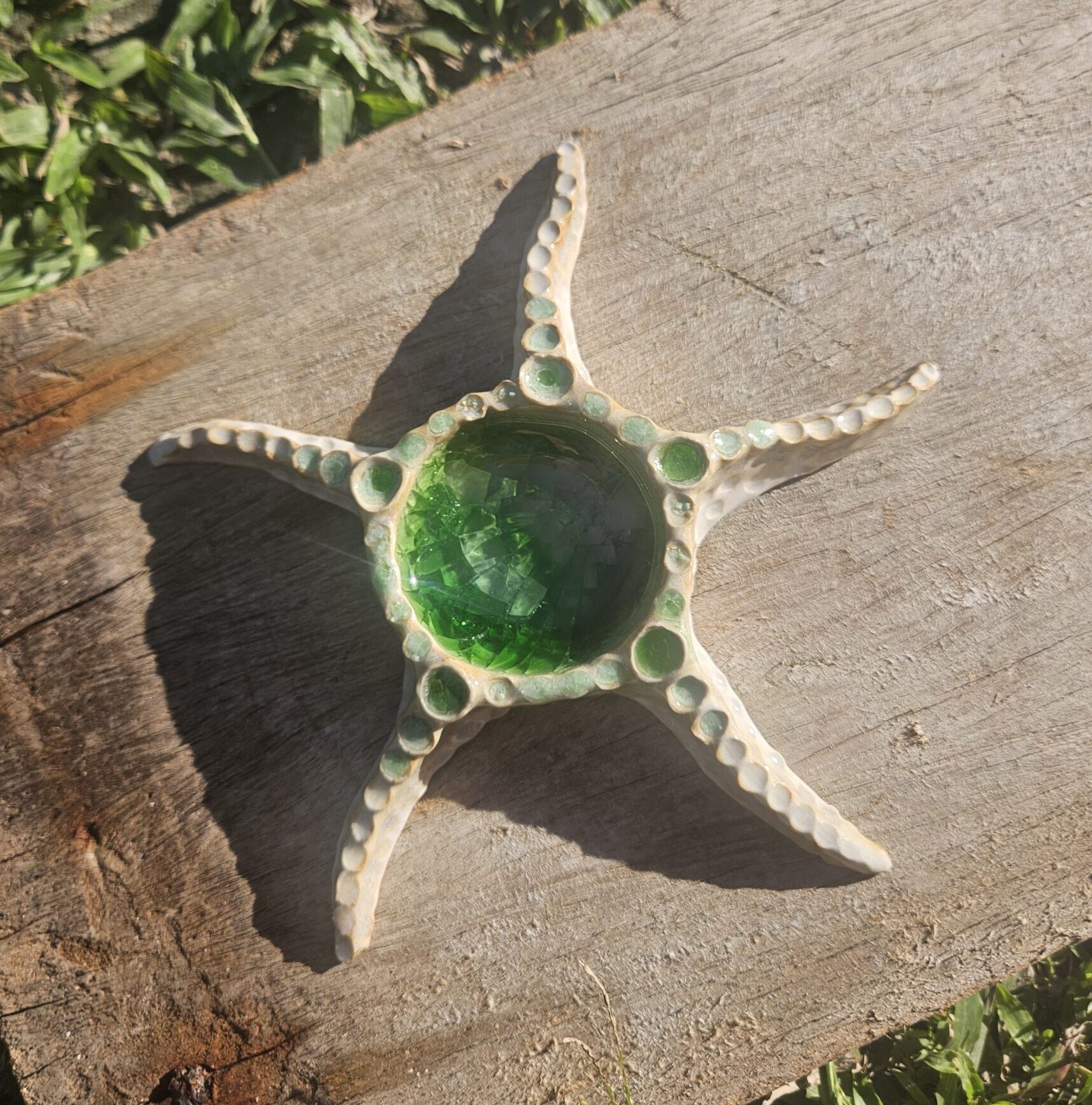 ceramic starfish